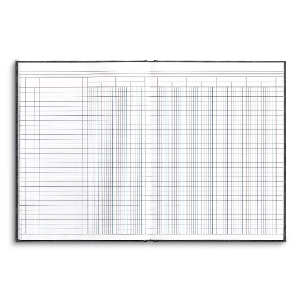 Quill Brand Columnar Book, 12-Columns, 7.25" x 9.5", Blue Marble, 40 Sheets/Book (217976ABF) Discount