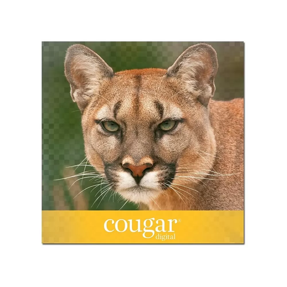 Domtar Cougar Digital 80 lb. Cover Paper, 11" x 17", White, 250 Sheets/Pack (2868) New