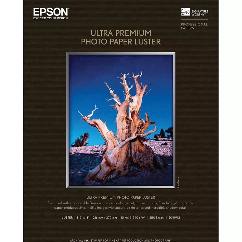 Epson Premium Luster Photo Paper, 8.5" x 11", 250 Sheets/Pack (S041913) Best