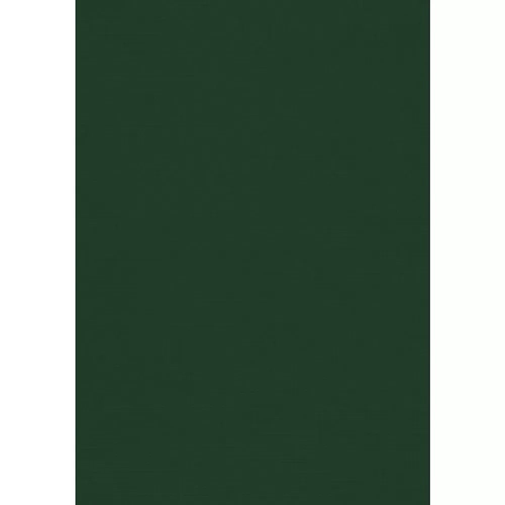 JAM Paper 12" x 18" Cardstock, Green Linen, 50/pack (1218-C-GNLI-50) Flash Sale