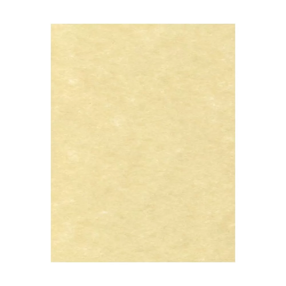 LUX 65 lb. Cardstock Paper, 8.5" x 11", Gold Parchment, 50 Sheets/Pack (81211-C-41-50) Cheap