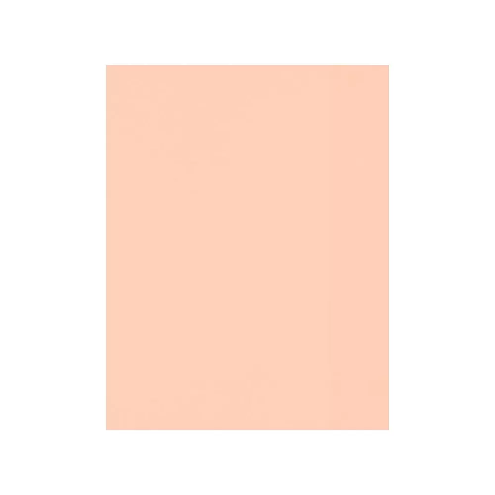 LUX Colored Paper, 32 lbs., 8.5" x 11", Blush, 1000 Sheets/Pack (81211-P-1141000) New
