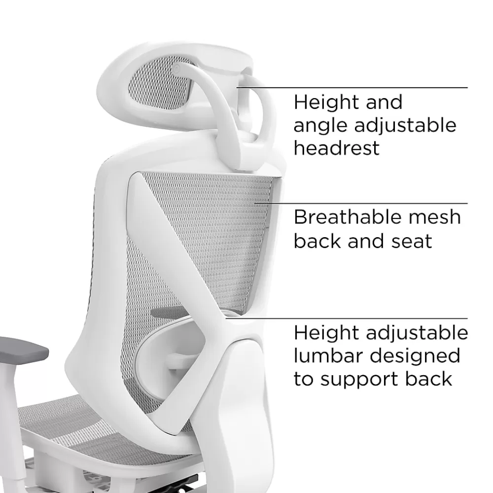 Staples Dexley Ergonomic Mesh Swivel Task Chair, (UN61365) Gray Best Sale