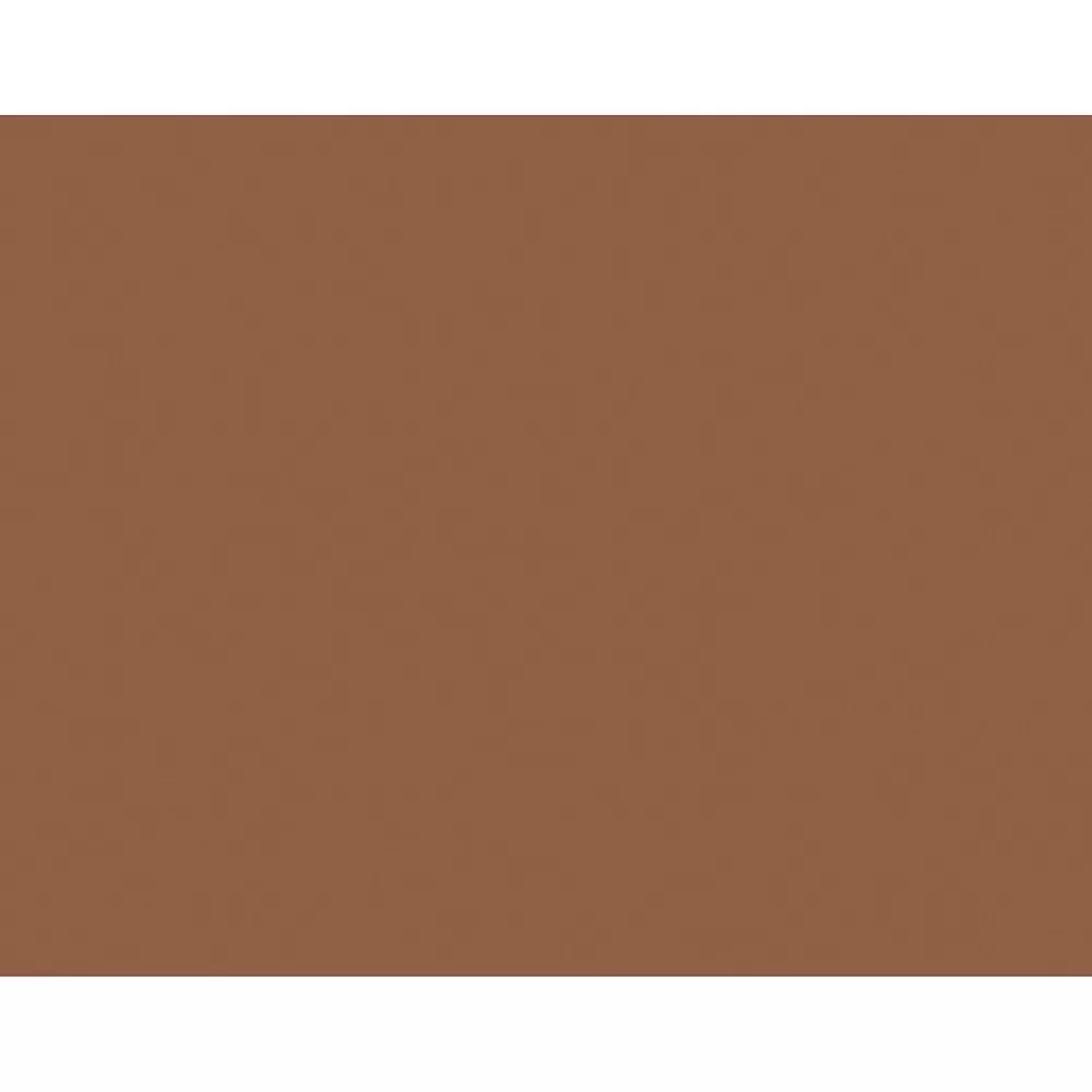 Pacon Tru-Ray® Construction Paper, Warm Brown, 18" x 24", 50 Sheets Per Pack, 2 Packs (PAC103089-2) Best