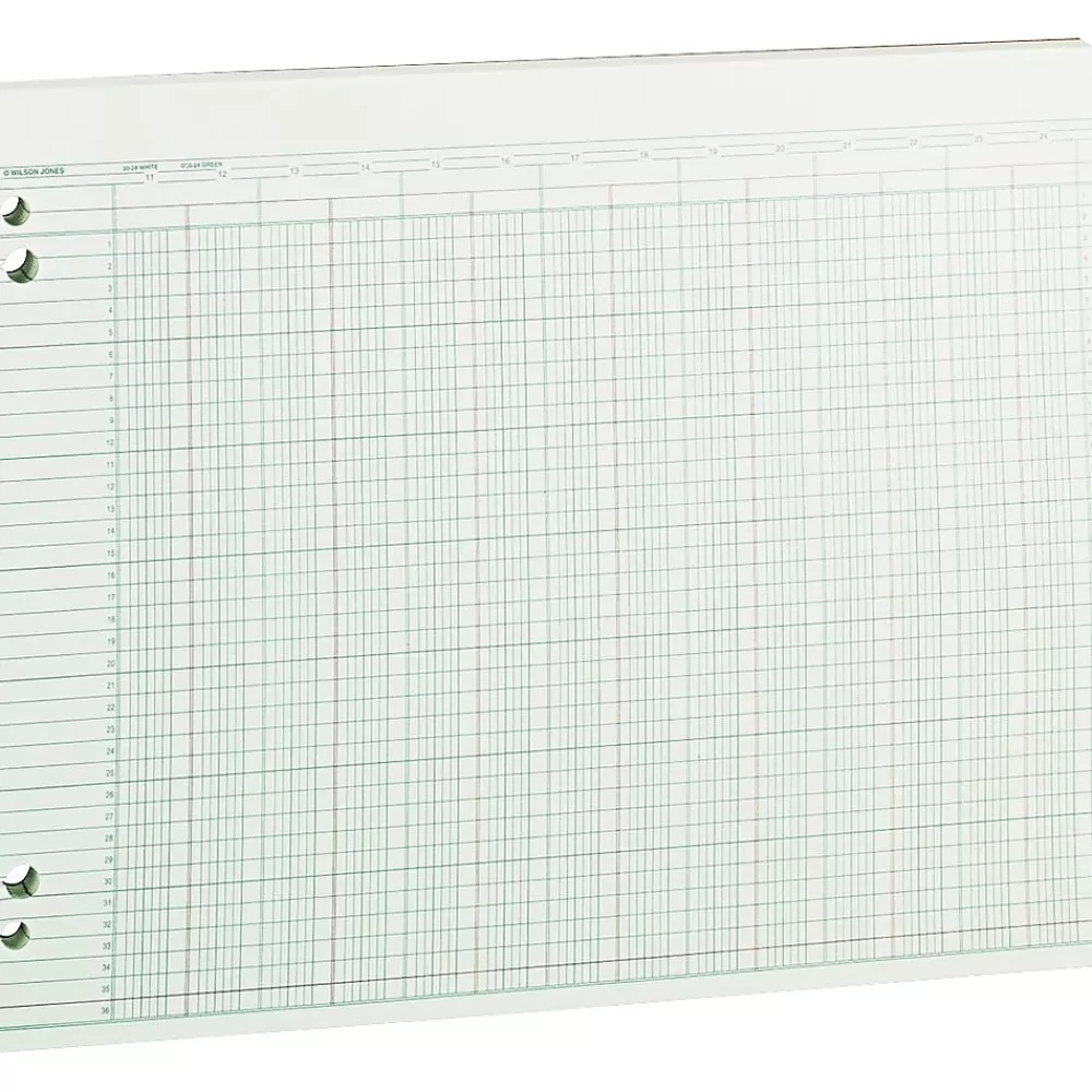 Wilson Jones Ledger Paper, 24 Columns, 11" x 14", Green, 100 Sheets (WLJG3024) Store